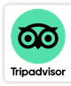 tripadvisor Reviews
